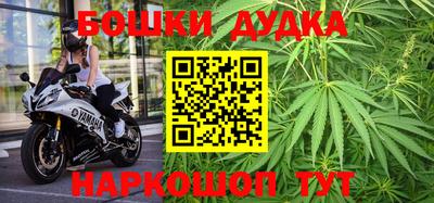 спиды Обь