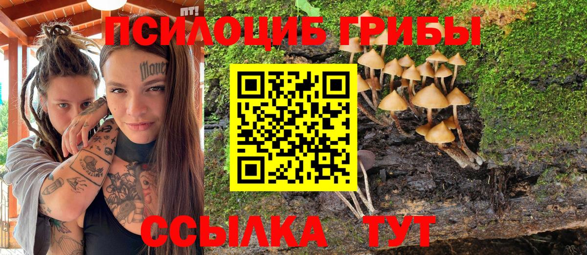 Псилоцибиновые грибы Cubensis  Вход с VPN  Сургут 